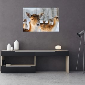 Tablou - Cerbi (90x60 cm)