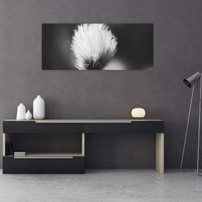 Tablou - Coțofană neagră și albă (120x50 cm)