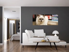 Tablou cu pisica albăr (120x50 cm)