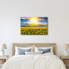Tablou - Câmp cu floarea soarelui (90x60 cm)