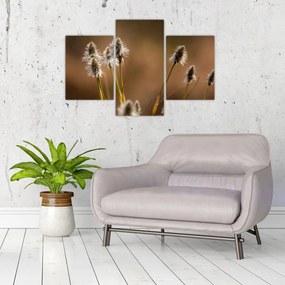 Tablou - Iarbă (90x60 cm)