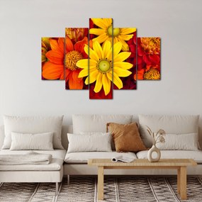Tablou cu floare (150x105 cm)