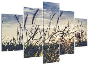Tablou cu flori de câmp (150x105 cm)