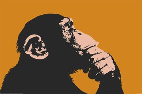 XXL Poster Monkey - Thinking