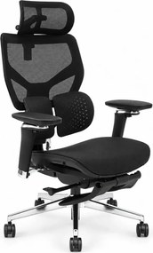 Scaun ergonomic ANEW ARYSE D6, Suport lombar dublu adaptiv 360°, Cotiere 5D, Tetieră 3D, Șezut mesh, Mecanism sensibil la greutate, Bază cromată, Suport pentru picioare, Negru