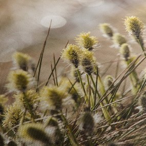 Tablou - Verde (150x105 cm)