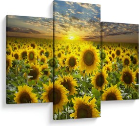 Tablou - Floarea-soarelui la apus de soare (90x60 cm)
