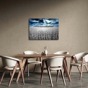 Tablou cu câmp (70x50 cm)