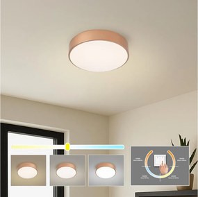 BRILAGI - Plafonieră LED POOL LED/24W/230V 3000/4000/6000K Ø 20 cm culoare cuprie