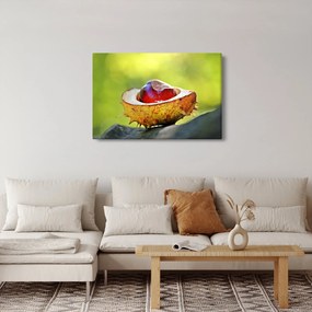 Tablou cu castani (90x60 cm)