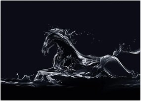 Tablou - Cal și apă (70x50 cm)