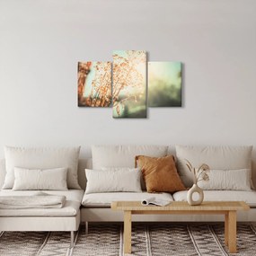 Tablou - Plante după ploaie (90x60 cm)