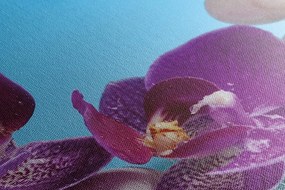 Tablou wellness natura moartă