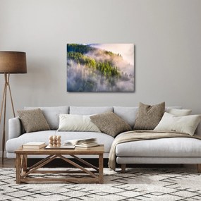 Tablou peisajului montan (70x50 cm)