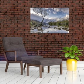 Tablou cu râu și copac (90x60 cm)