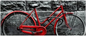 Tablou - Bicicleta istorică (120x50 cm)