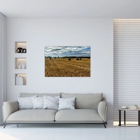 Tablou cu câmp recoltat (90x60 cm)