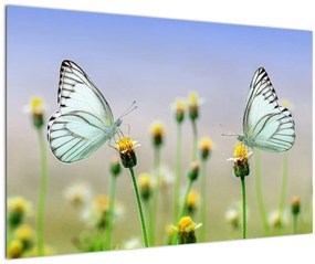 Tablou cu fluture pe floare (90x60 cm)