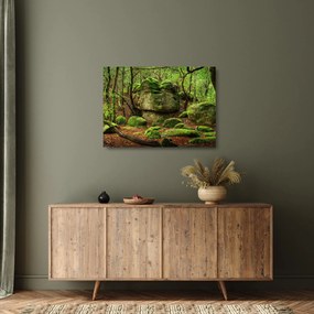 Tablou pe sticlă cu pădurea fermecată (70x50 cm)