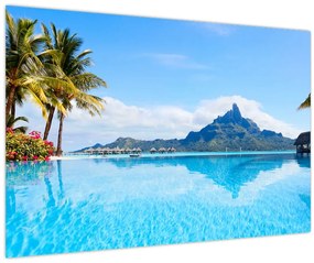 Tablou - Palmieri și plaje (90x60 cm)