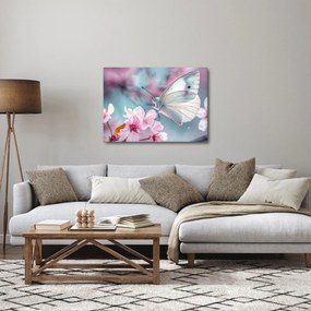 Tablou - Fluture pe un cireș (70x50 cm)