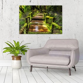 Tablou cu scări într-o pădure tropicală (90x60 cm)
