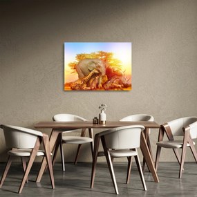 Tablou pe sticlă - Animale africane (70x50 cm)