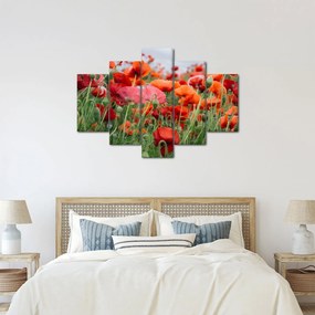 Tablou din câmp cu maci (150x105 cm)