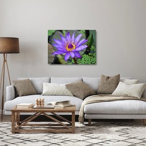 Tablou pe sticlă - Floare violet (70x50 cm)