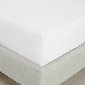 Cearceaf alb din bumbac percal cu elastic 90x190 cm Cotton Percale – Bianca