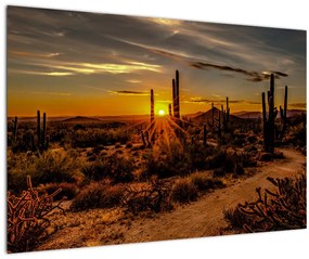 Tablou - Sfărșit de zi în deșertul Arizona (90x60 cm)