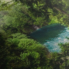 Tablou - Fereastra între copaci (120x50 cm)