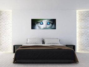 Tablou cu pisica (120x50 cm)