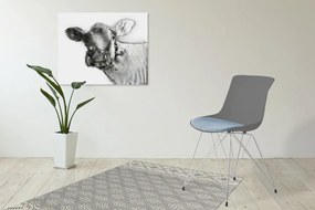 Set 2 scaune Emily gri/albastru deschis