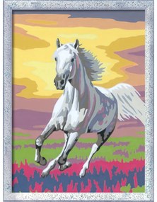 PICTURA PE NUMERE CAL LA APUS - RAVENSBURGER (RVSPBN23663)