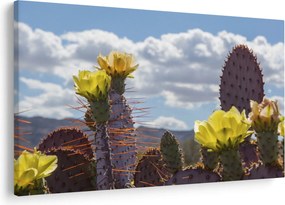 Tablou cu floarea de cactus Opunție (90x60 cm)