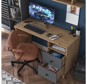 Masă PC Halinka (Nuc + antracit) . 1102174