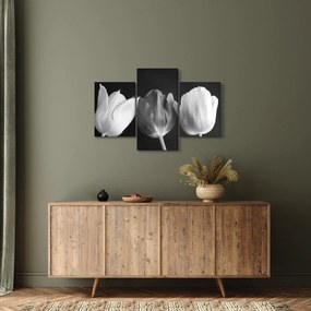 Tablou - Lalele alb negre (90x60 cm)