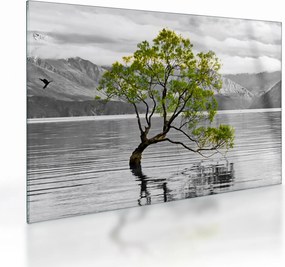 Tablou pe sticlă copacului în mijlocul lacului (70x50 cm)