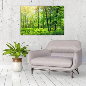 Tablou - Pădurea cu frunze de primăvară (90x60 cm)