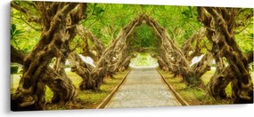 Tablou - Tunel viu din plumeria (120x50 cm)