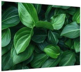 Tablou - Frunze verzi (70x50 cm)