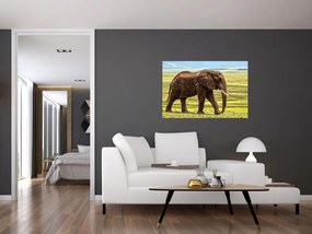 Tablou - Elefantul (90x60 cm)