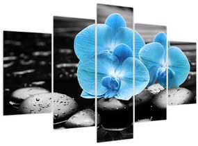 Tablou - Orhidee albastră (150x105 cm)