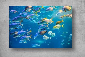 Tapet Premium Canvas - Pestii inotand prin ocean