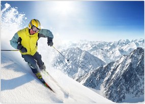 Tablou - Schior (70x50 cm)