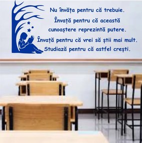 Sticker perete Studiaza pentru ca astfel cresti