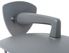 Lămpă de perete clasică pentru exterior Platar cu lumină în jos gri închis IP44