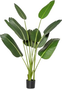 HOMCOM Bananier Artificial 160 cm cu Ghiveci și 10 Frunze Realiste, Plantă Artificială Tropicală pentru Decorațiuni Interioare și Exterioare, Verde | Aosom Romania