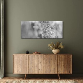 Tablou - Iarbă de pampas Boho (120x50 cm)